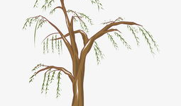 漫画柳树,漫画中的诗意时光